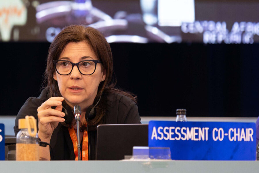 Pamela McElwee speaks during the 11th session of the Intergovernmental Science-Policy Platform on Biodiversity and Ecosystem Services Plenary in December 2024 in Windhoek, Namibia. Credit: Kiara Worth/Earth Negotiations Bulletin