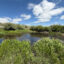 A view of a beaver pond and dam in the Happy Jack Recreation Area of Wyoming. Credit: Courtesy of Luwen Wan