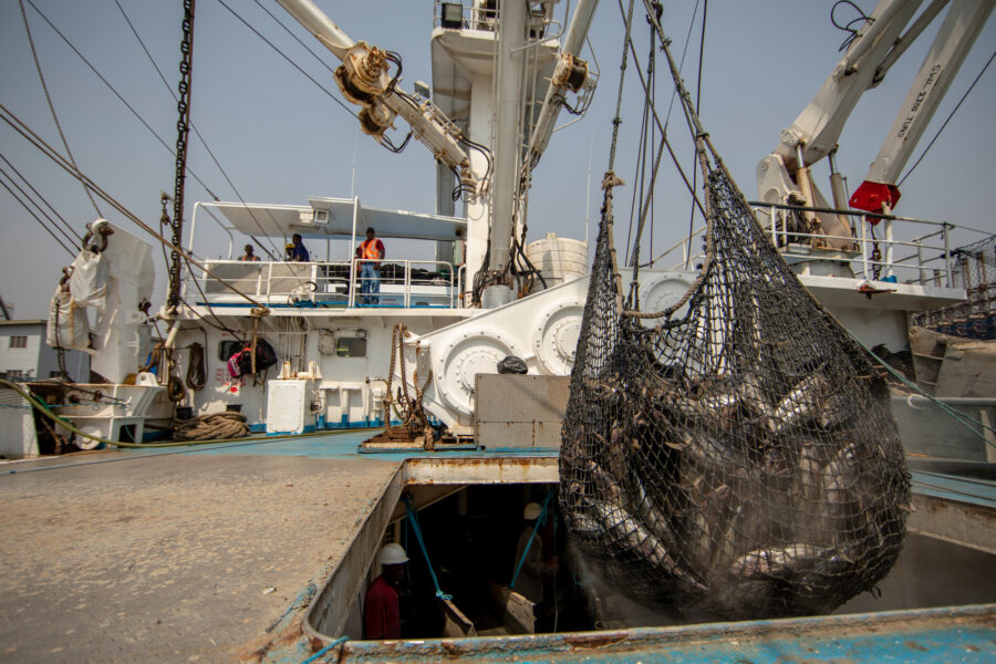 Freshly caught tuna are offloaded from the hold of a fishing vessel in Ghana’s Port of Tema. Credit: Kyle LaFerriere/WWF-US