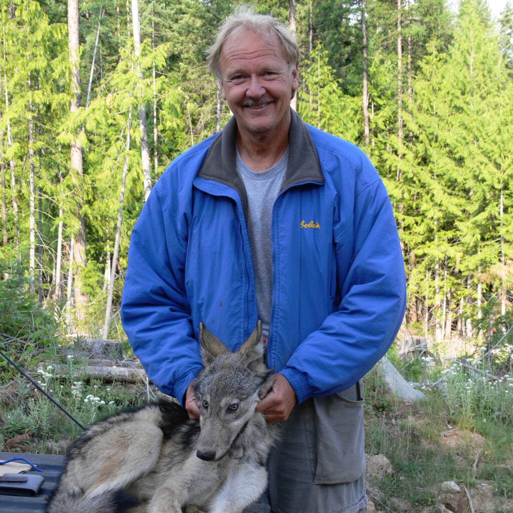 Carter Niemeyer worked for decades as a wolf biologist and trapper for the USFWS before retiring in 2006. Credit: Courtesy of Carter Niemeyer