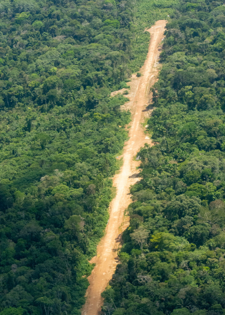 An illegal road is seen near the proposed Yavarí Mirim reserve. Credit: Courtesy of ORPIO