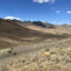 The proposed South Railroad mine, if approved and built, would discharge excess groundwater into this tributary of Dixie Creek in Nevada. Credit: Great Basin Resource Watch