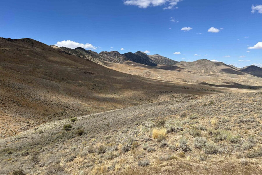 The proposed South Railroad mine, if approved and built, would discharge excess groundwater into this tributary of Dixie Creek in Nevada. Credit: Great Basin Resource Watch