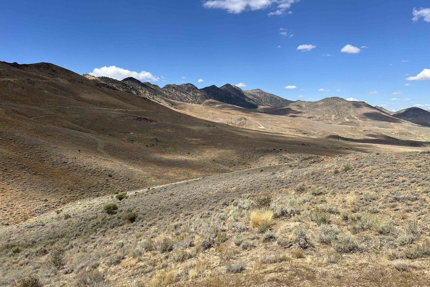 The proposed South Railroad mine, if approved and built, would discharge excess groundwater into this tributary of Dixie Creek in Nevada. Credit: Great Basin Resource Watch