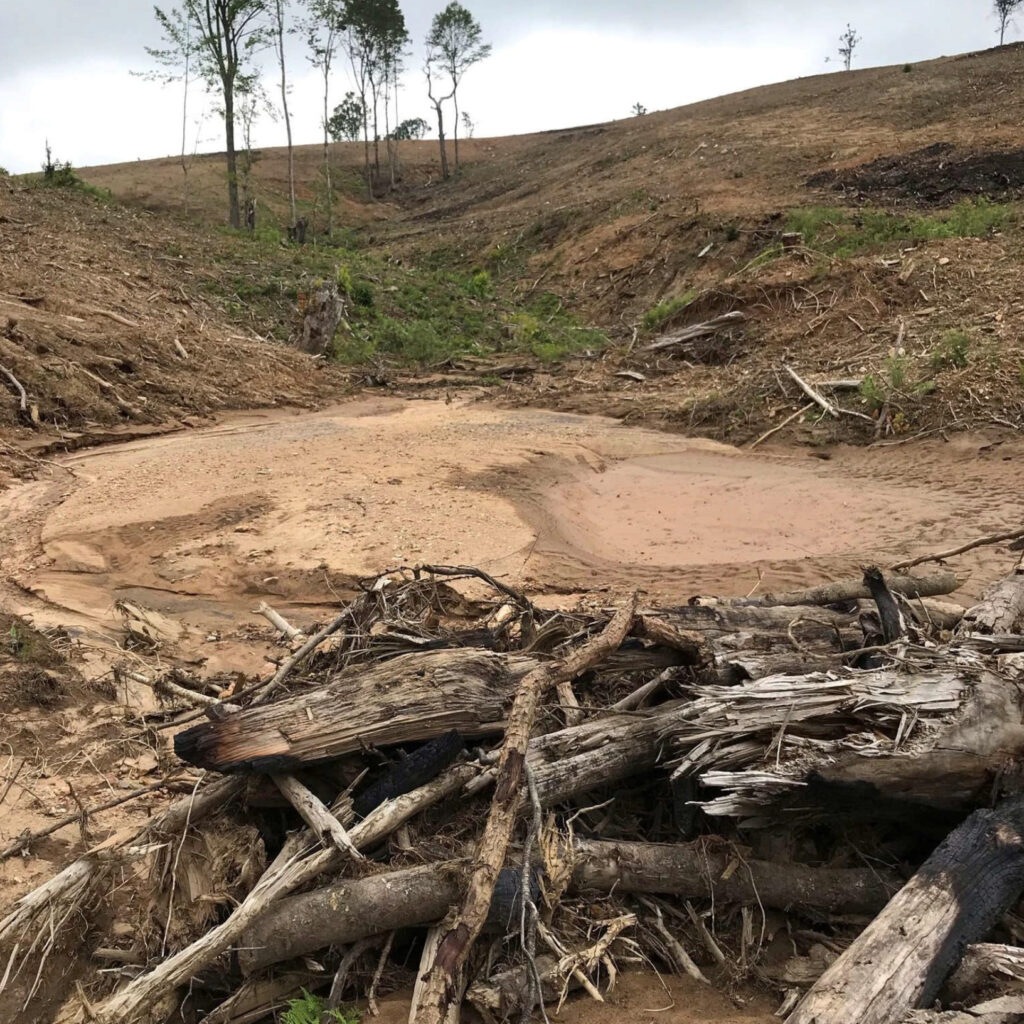 A stream bed buried in sediment on Bottomley property in 2021. Agriculture is exempt from obtaining sedimentation and erosion permits. However, farmers still must get a water quality permit to fill in streams or wetlands. Credit: DEQ