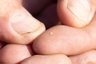 The Three Rivers Waterkeeper found tiny “nurdles” in the water and banks of Raccoon Creek in western Pennsylvania. Credit: Three Rivers Waterkeeper