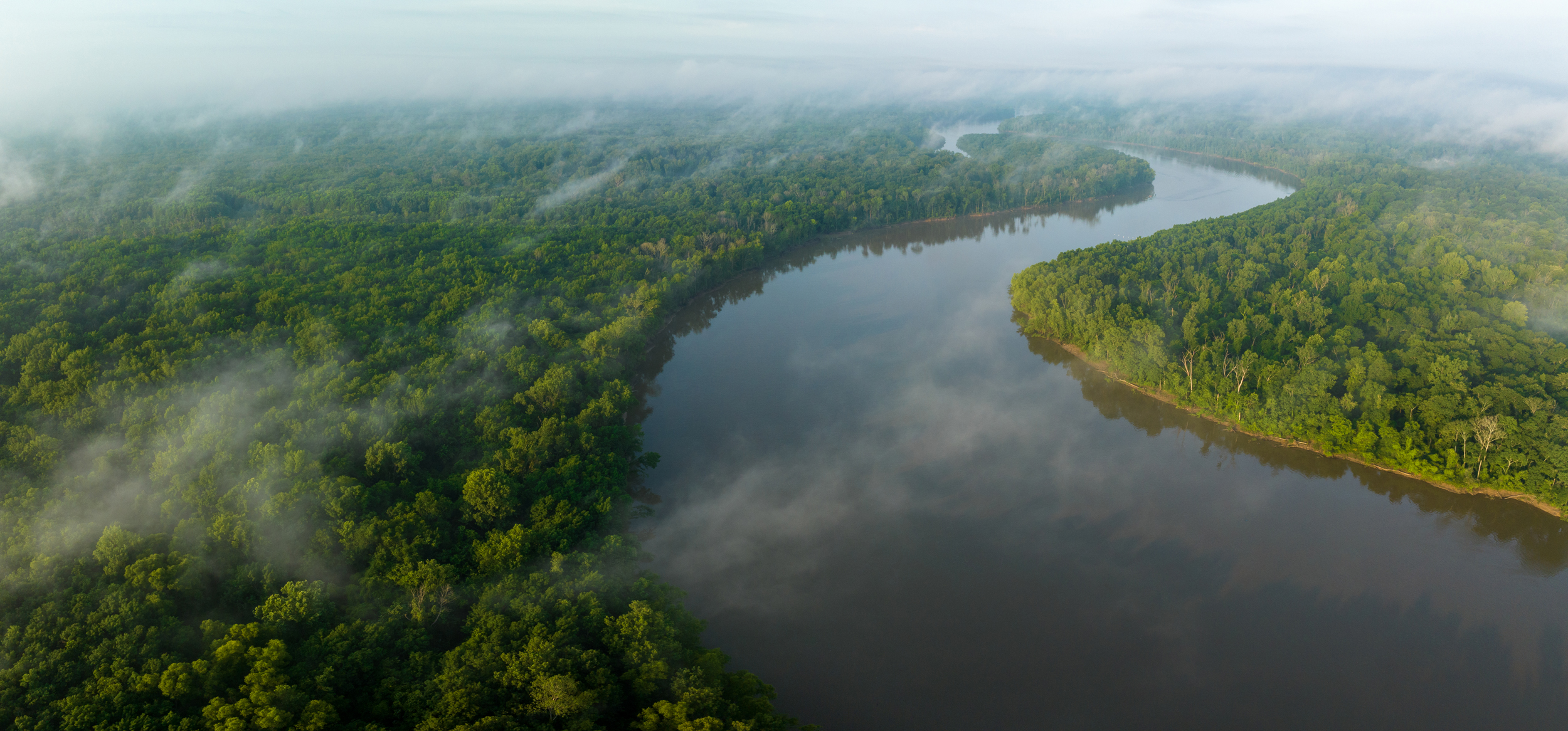The E.O. Wilson Land Between the Rivers Preserve encompasses almost 8,000 acres between the Tombigbee and Alabama Rivers, including numerous streams, bogs and oxbow lakes. Credit: Hunter Nichols/TNC