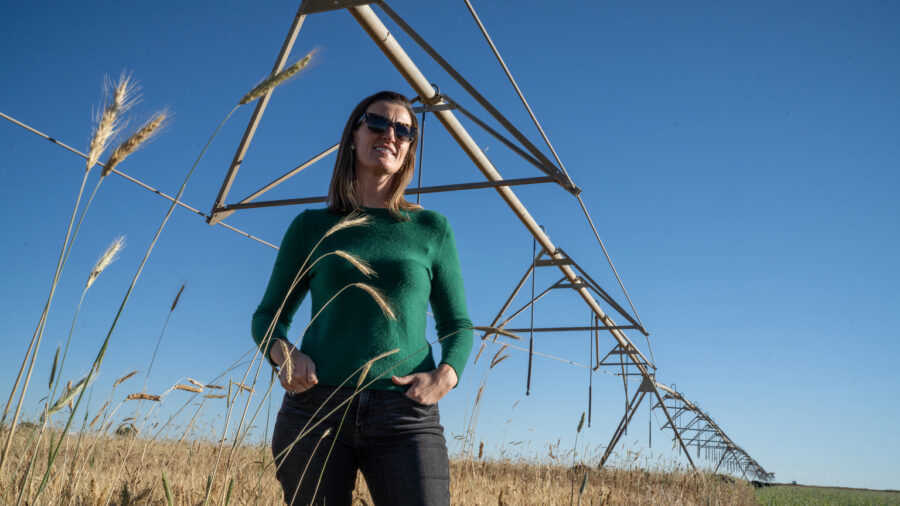 Sarah Jones stands under a center pivot irrigation unit, with a few stems of rye in the foreground, on her farm in Colorado’s San Luis Valley. Credit: Hart Van Denburg/CPR News