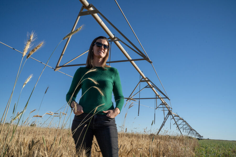 Sarah Jones stands under a center pivot irrigation unit, with a few stems of rye in the foreground, on her farm in Colorado’s San Luis Valley. Credit: Hart Van Denburg/CPR News