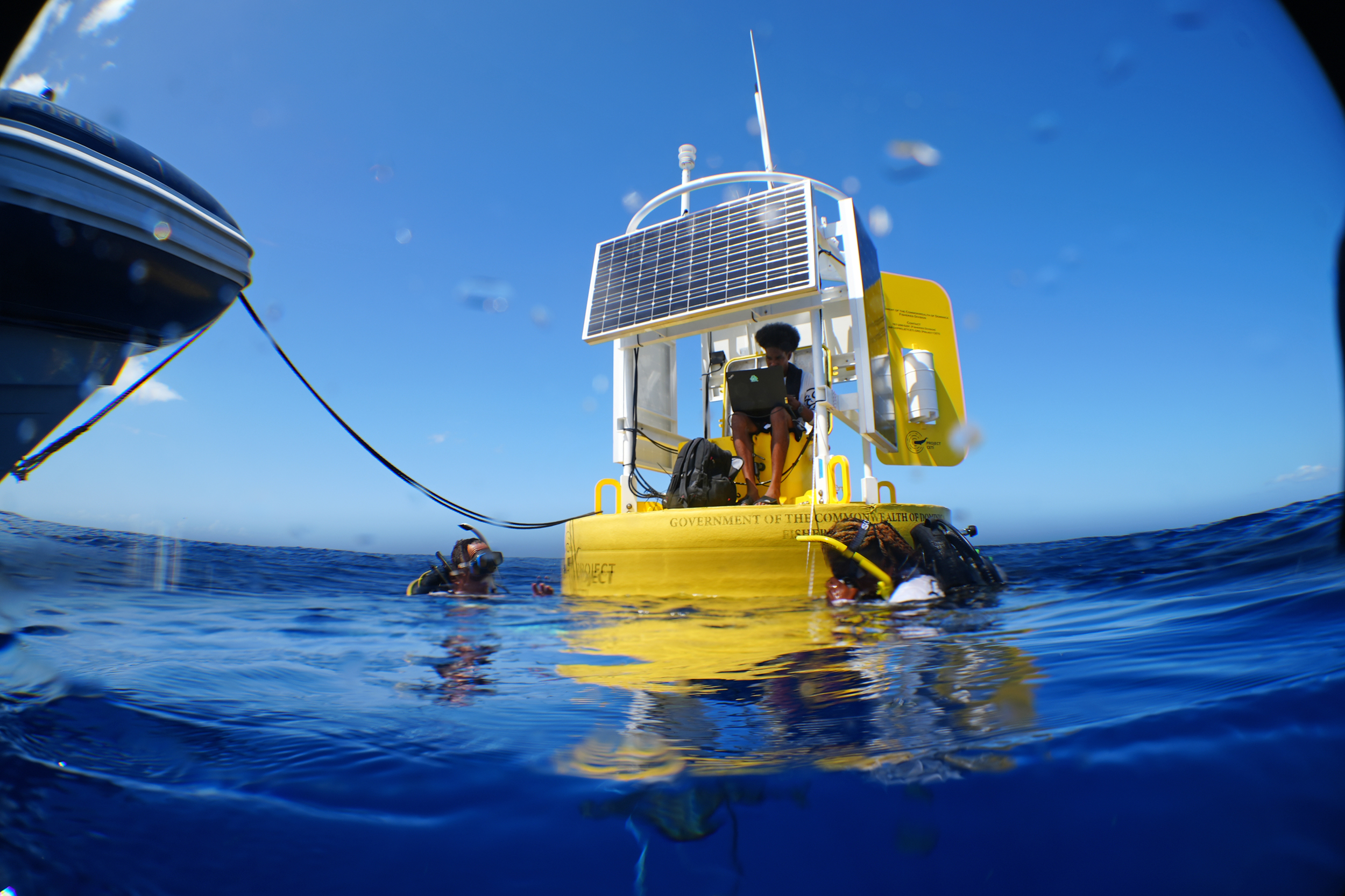 A CETI core whale listening station. Credit: Project CETI