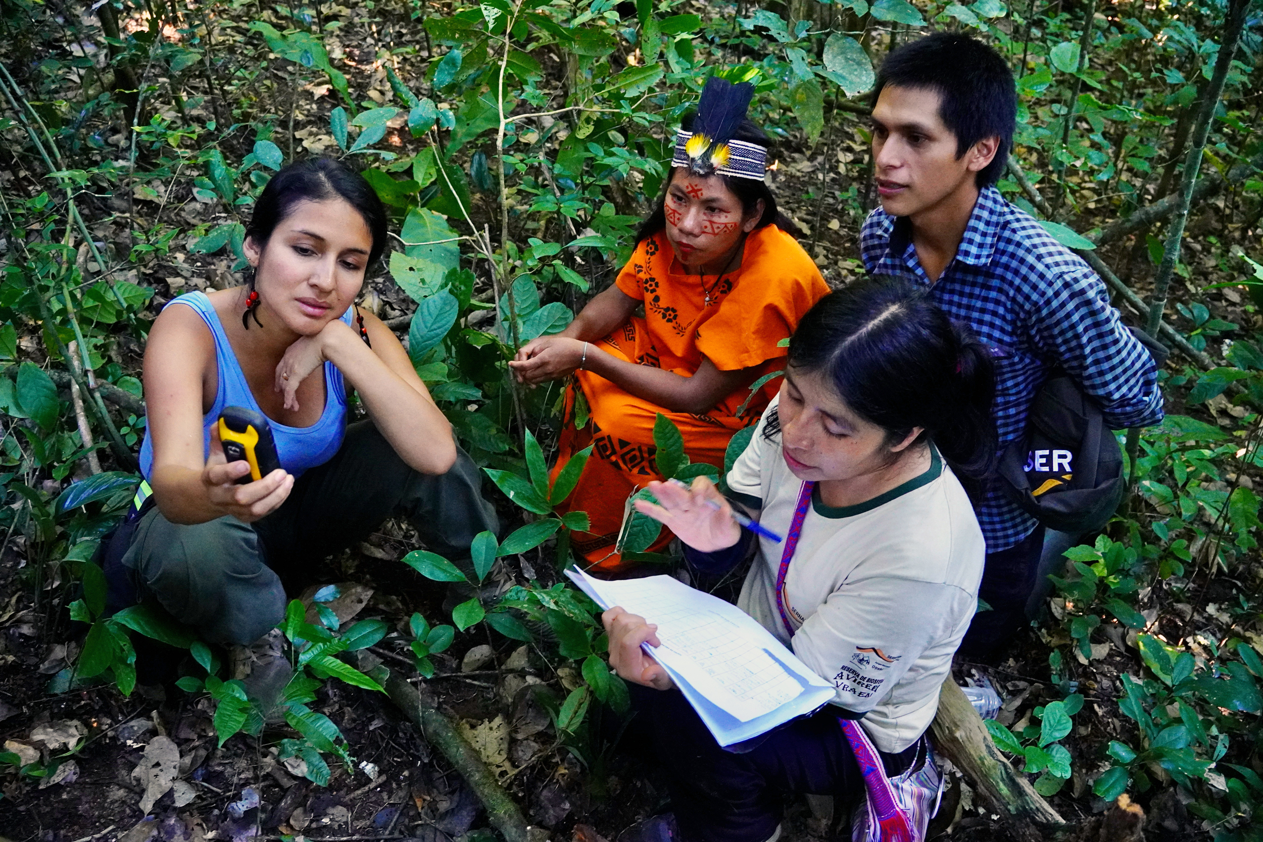 Rosa Vásquez Espinoza demonstrates to a group of young park rangers how to log the GPS coordinates of wild stingless bee nests. Credit: Teresa Tomassoni/Inside Climate News