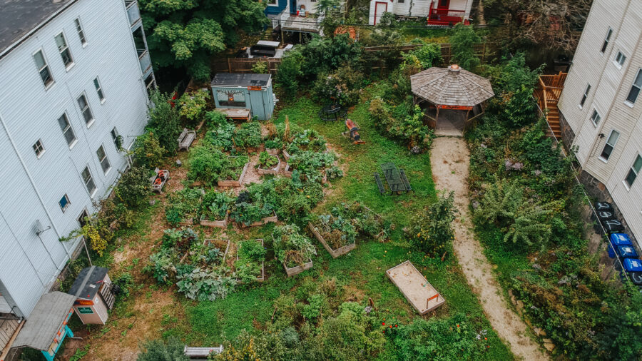 The Ellington Street Community Food Forest Garden fills a formerly empty lot in Boston’s Dorchester neighborhood. Credit: Dre Tejada