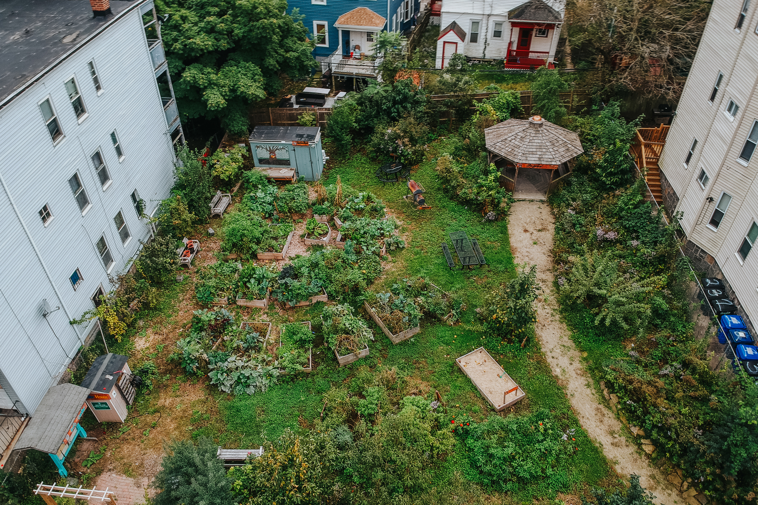 The Ellington Street Community Food Forest Garden fills a formerly empty lot in Boston’s Dorchester neighborhood. Credit: Dre Tejada