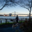 A person walks their doing along the Delaware River in Philadelphia. Credit: Thomas Hengge/Anadolu Agency via Getty Images