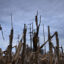 Power lines tower above a cornfield near New Bloomfield, Mo. Credit: Brendan Smialowski/AFP via Getty Images