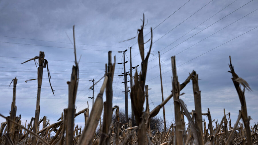 Power lines tower above a cornfield near New Bloomfield, Mo. Credit: Brendan Smialowski/AFP via Getty Images