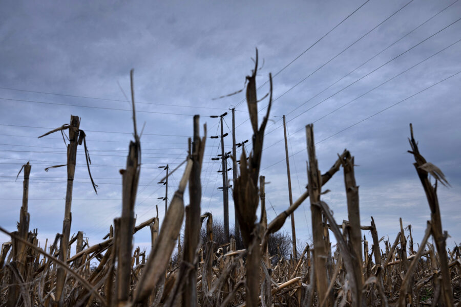 Power lines tower above a cornfield near New Bloomfield, Mo. Credit: Brendan Smialowski/AFP via Getty Images