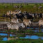 Zebras and wildebeests roam around a swamp in Amboseli, Kenya. Credit: Eric Lafforgue/Corbis via Getty Images