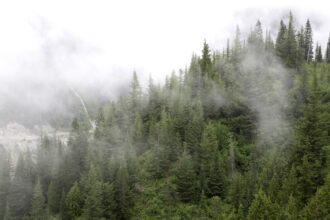 Low clouds blanket Mount Rainier National Park in Washington state. Credit: Craig Tuttle/Universal Images Group via Getty Images