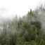 Low clouds blanket Mount Rainier National Park in Washington state. Credit: Craig Tuttle/Universal Images Group via Getty Images