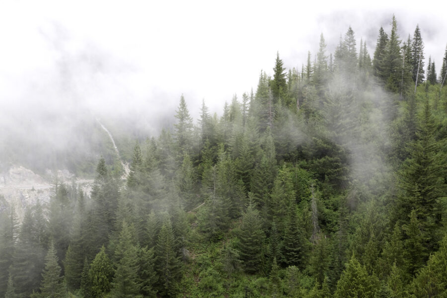 Low clouds blanket Mount Rainier National Park in Washington state. Credit: Craig Tuttle/Universal Images Group via Getty Images