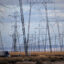 High-voltage transmission lines run along Interstate 5 in the central California community of Buttonwillow. Credit: Jay L. Clendenin/Getty Images