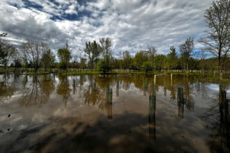 A view of the Funk-DeWald Nature Preserve, one of H2Ohio’s wetland restoration projects, in Seneca County, Ohio. Credit: H2Ohio