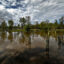 A view of the Funk-DeWald Nature Preserve, one of H2Ohio’s wetland restoration projects, in Seneca County, Ohio. Credit: H2Ohio