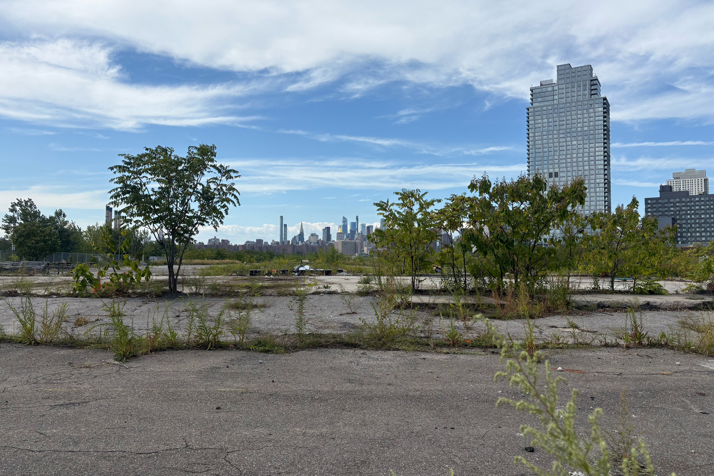 New York City Needs More Housing. Should it Come With Promises to Protect Green Space? – Inside Climate News