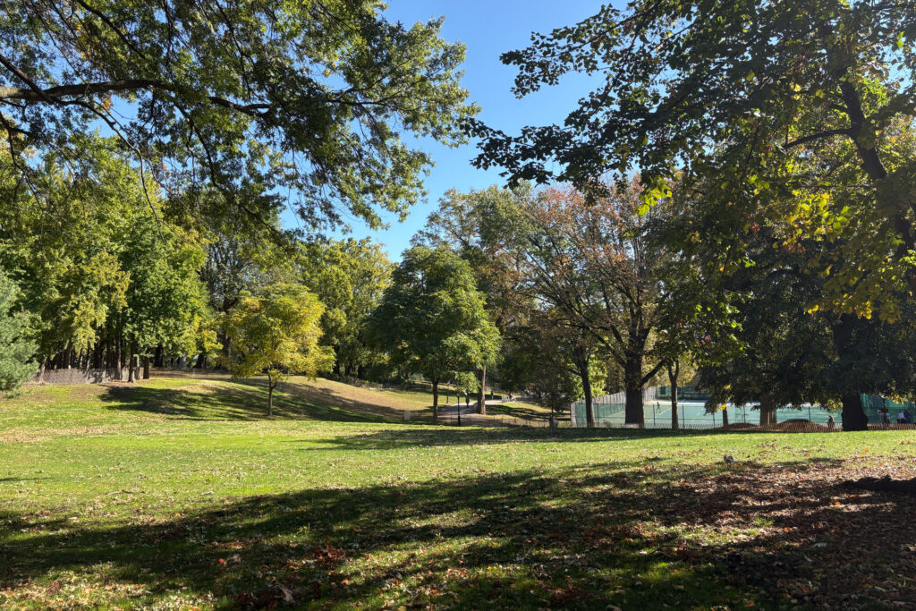 A view of Brooklyn’s Fort Greene Park. Credit: Lauren Dalban/Inside Climate News