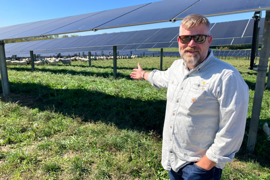 Nick de Vries, chief technology officer for the solar developer Silicon Ranch, poses at Turkey Creek Solar Ranch in Lancaster, Ky., where solar panels share space with sheep. He is working on a system for solar and cattle. Credit: Dan Gearino/Inside Climate News