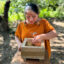 Micaela Huaman Fernandez, an Asháninka stingless beekeeper, inspects a hive of Tetragonisca angustula bees. Credit: Teresa Tomassoni/Inside Climate News