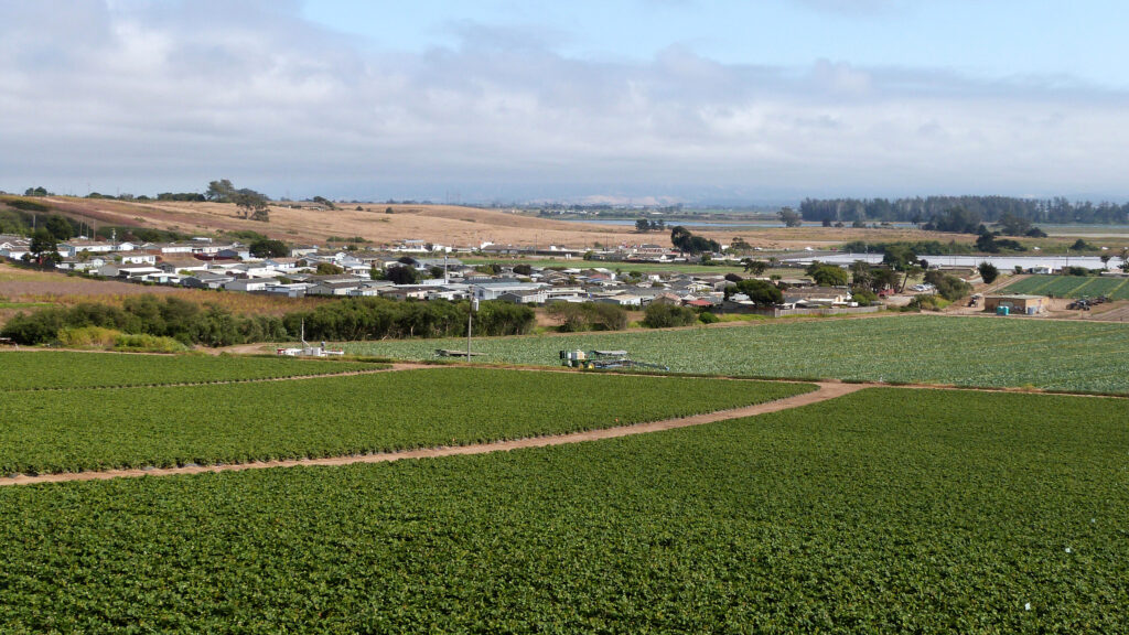 California Sanctions Stark Disparities in Pesticide Exposure During Pregnancy