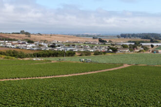 Communities in Monterey County are often embedded in agricultural fields. In the Pajaro Valley near Salinas, Calif., people are surrounded by strawberry fields, where growers apply large volumes of pesticides known to cause harm, including brain-damaging organophosphates and cancer-causing 1,3-D. Credit: Liza Gross/Inside Climate News