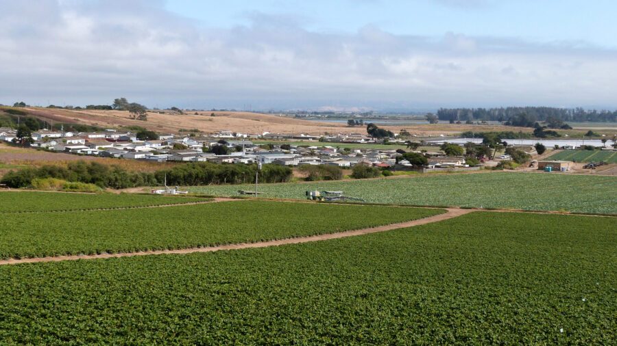 Communities in Monterey County are often embedded in agricultural fields. In the Pajaro Valley near Salinas, Calif., people are surrounded by strawberry fields, where growers apply large volumes of pesticides known to cause harm, including brain-damaging organophosphates and cancer-causing 1,3-D. Credit: Liza Gross/Inside Climate News