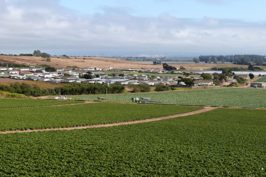 Communities in Monterey County are often embedded in agricultural fields. In the Pajaro Valley near Salinas, Calif., people are surrounded by strawberry fields, where growers apply large volumes of pesticides known to cause harm, including brain-damaging organophosphates and cancer-causing 1,3-D. Credit: Liza Gross/Inside Climate News