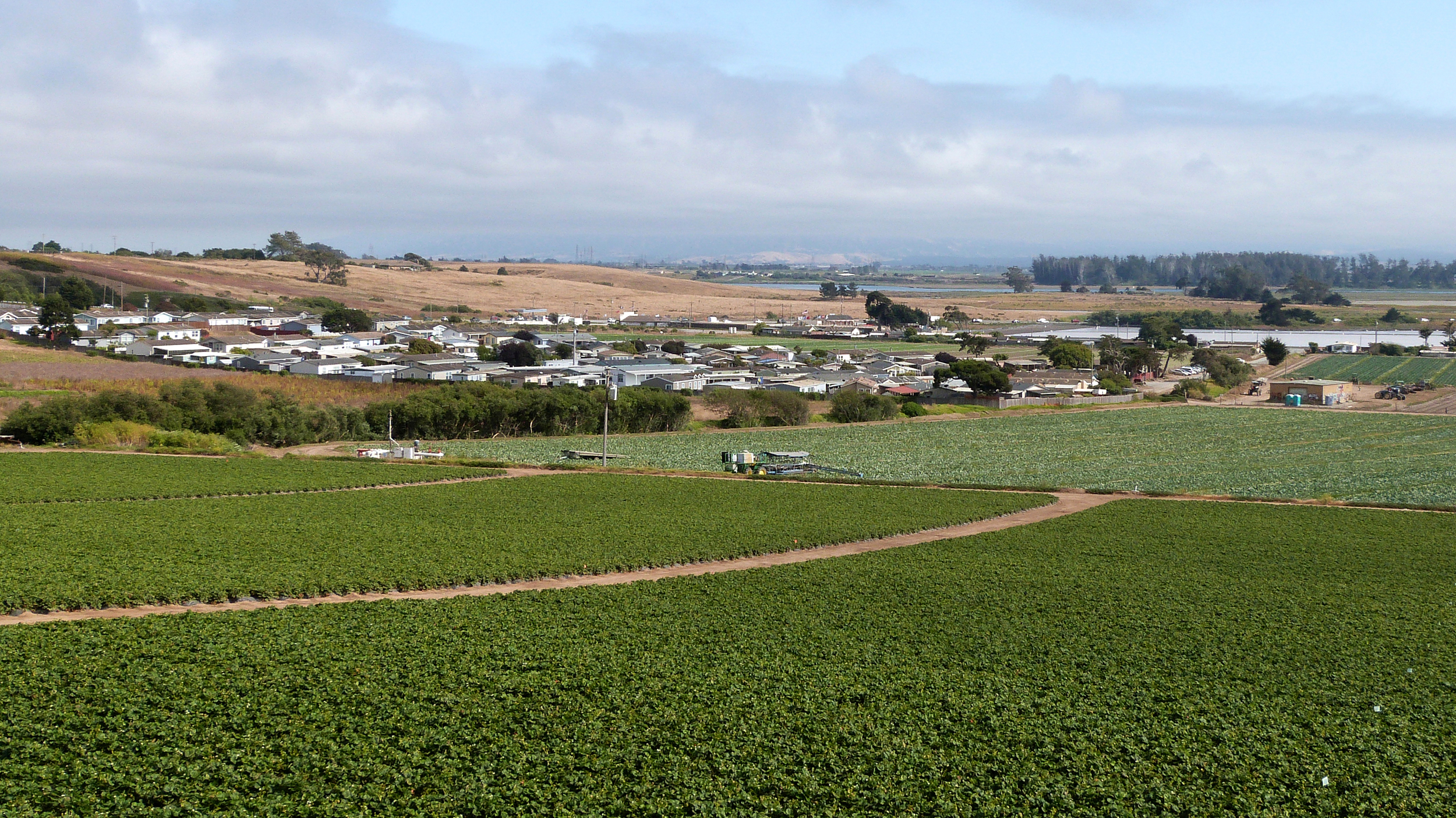 Communities in Monterey County are often embedded in agricultural fields. In the Pajaro Valley near Salinas, Calif., people are surrounded by strawberry fields, where growers apply large volumes of pesticides known to cause harm, including brain-damaging organophosphates and cancer-causing 1,3-D. Credit: Liza Gross/Inside Climate News