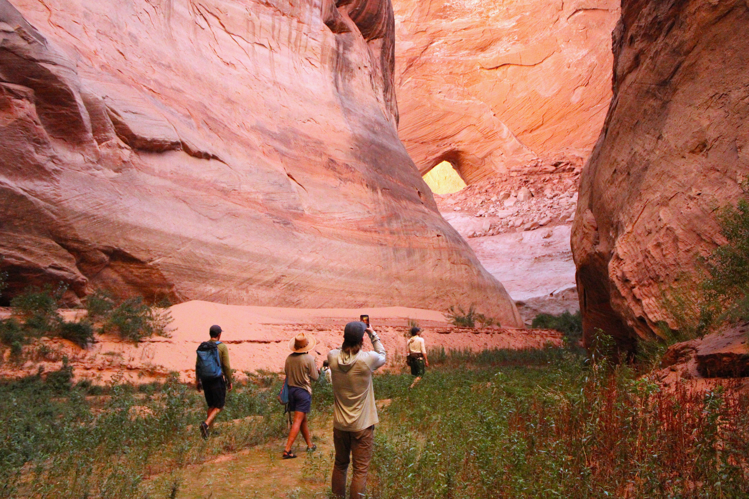 Researchers explore a section of Glen Canyon on Sept. 16. Receding water levels have revealed geologic formations and allowed plants and animals to return. Credit: Alex Hager/KUNC