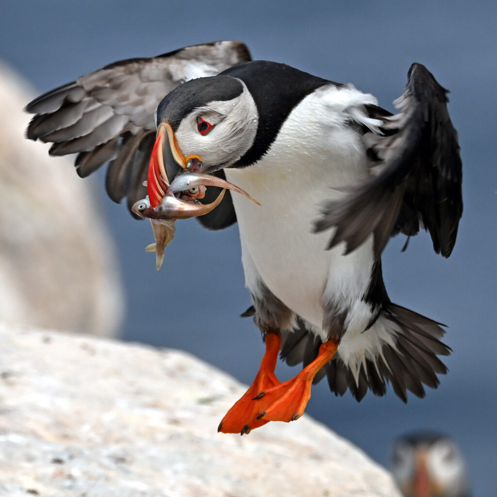 Credit: Derrick Jackson/The Equation