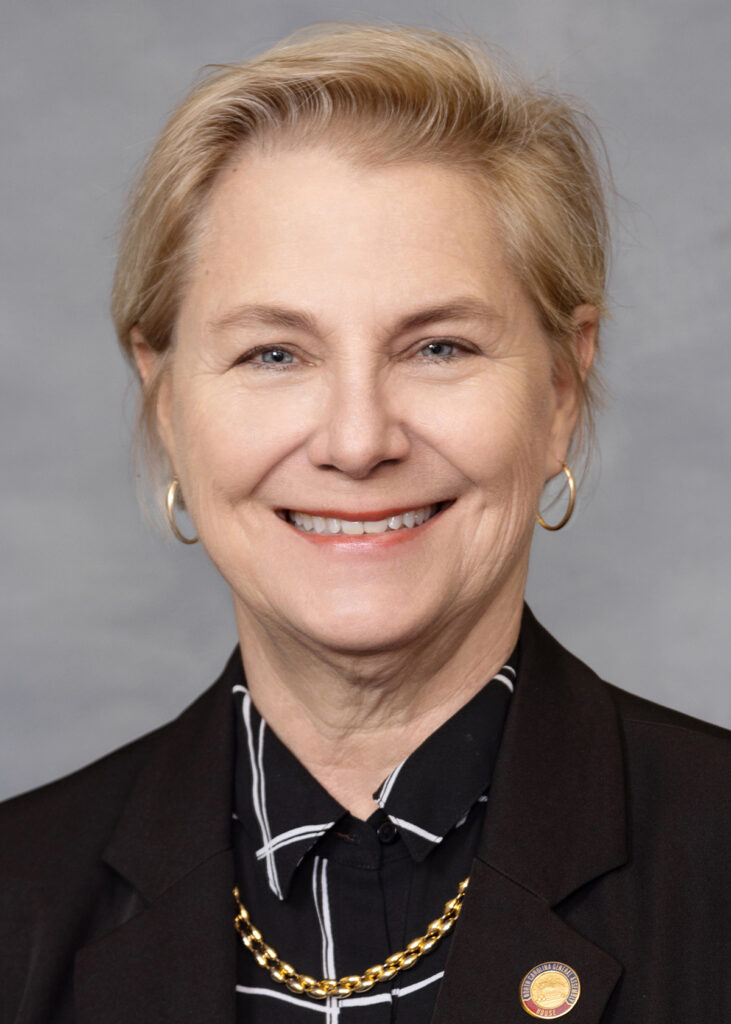 Democratic State Rep. Deb Butler, who represents New Hanover County. Credit: N.C. General Assembly