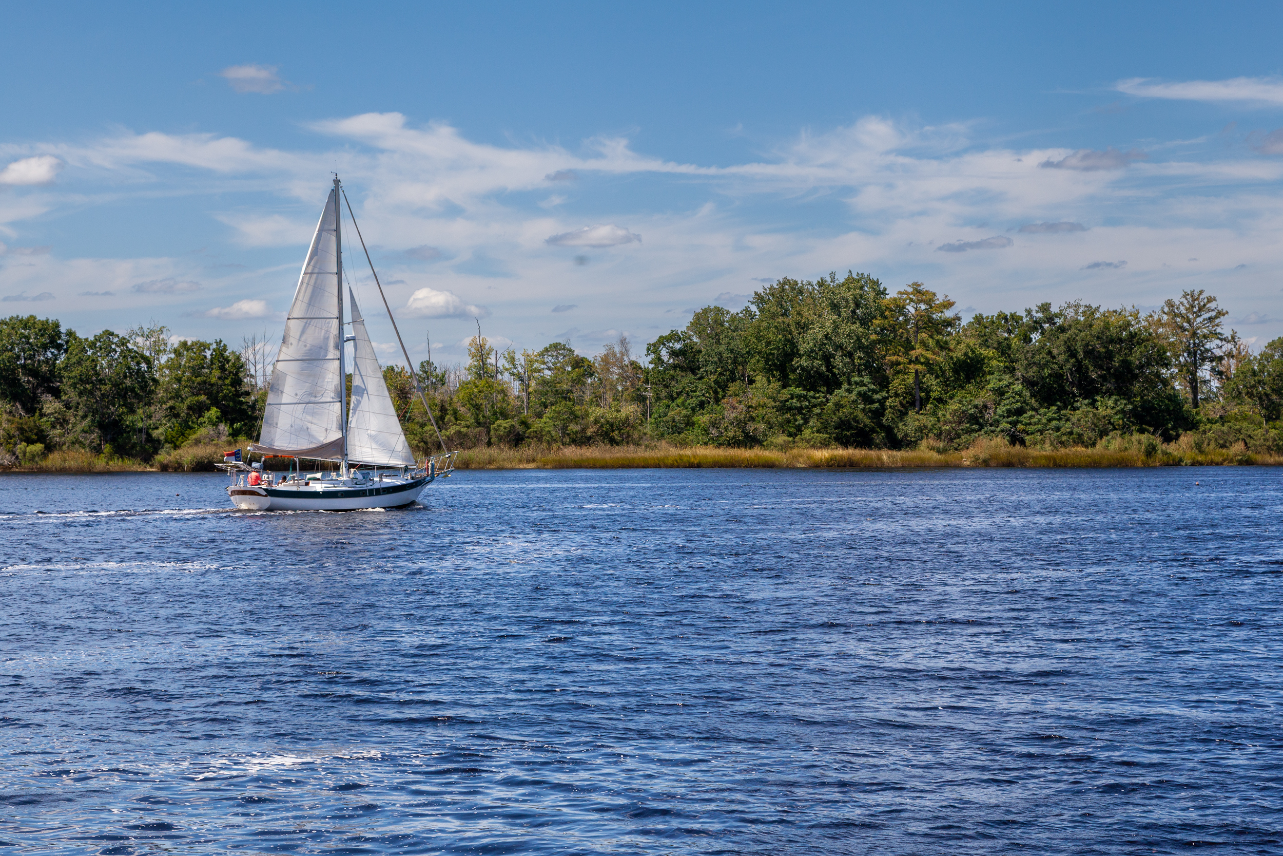 The Cape Fear River lies 80 miles downstream of Chemours, which has polluted the waterway with GenX and other PFAS compounds.  Credit: Lisa Sorg/Inside Climate News