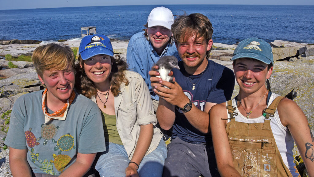 Holding a puffin is the Seal Island crew of (from left to right): Supervisor Coco Faber, Camilla Dopulos, Jack Eibel, Mark Price, and Liv Ridley. Credit: Derrick Jackson/The Equation