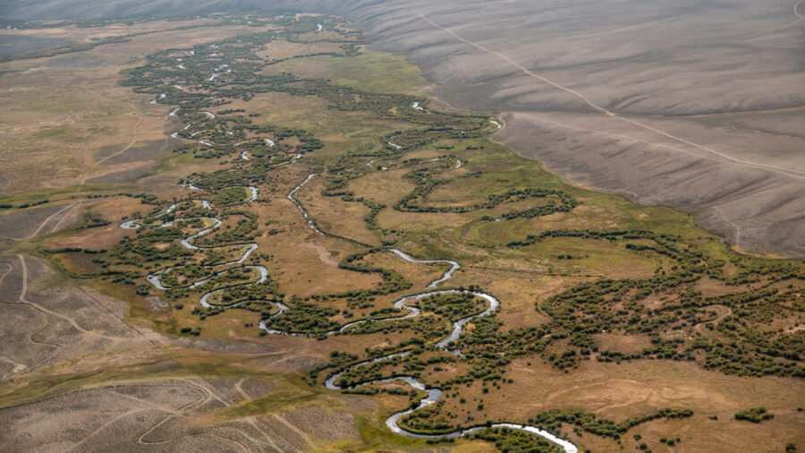 Streams turn the Red Desert of Wyoming green, and provide habitat for wildlife from elk to pronghorn to sage grouse. Credit: Michael Kodas/Inside Climate News
