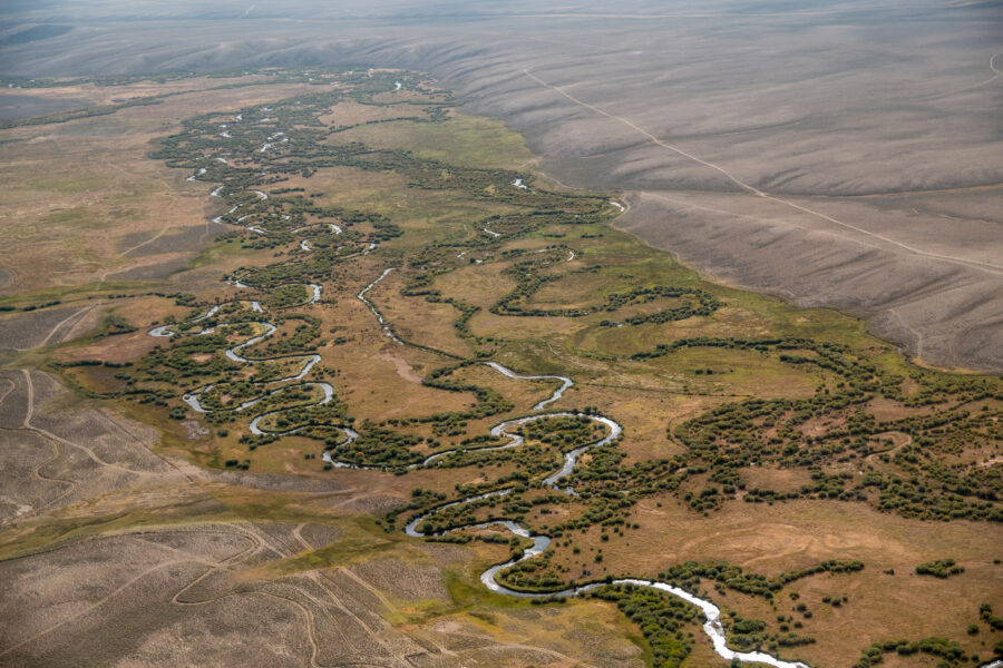 Streams turn the Red Desert of Wyoming green, and provide habitat for wildlife from elk to pronghorn to sage grouse. Credit: Michael Kodas/Inside Climate News