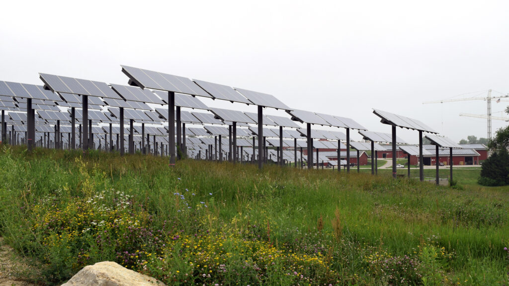 The borefield completed in 2012 includes 2000 boreholes, each several hundred feet deep, buried underground with an elevated solar array aboveground that allows for farming in between. Credit: Phil McKenna/Inside Climate News