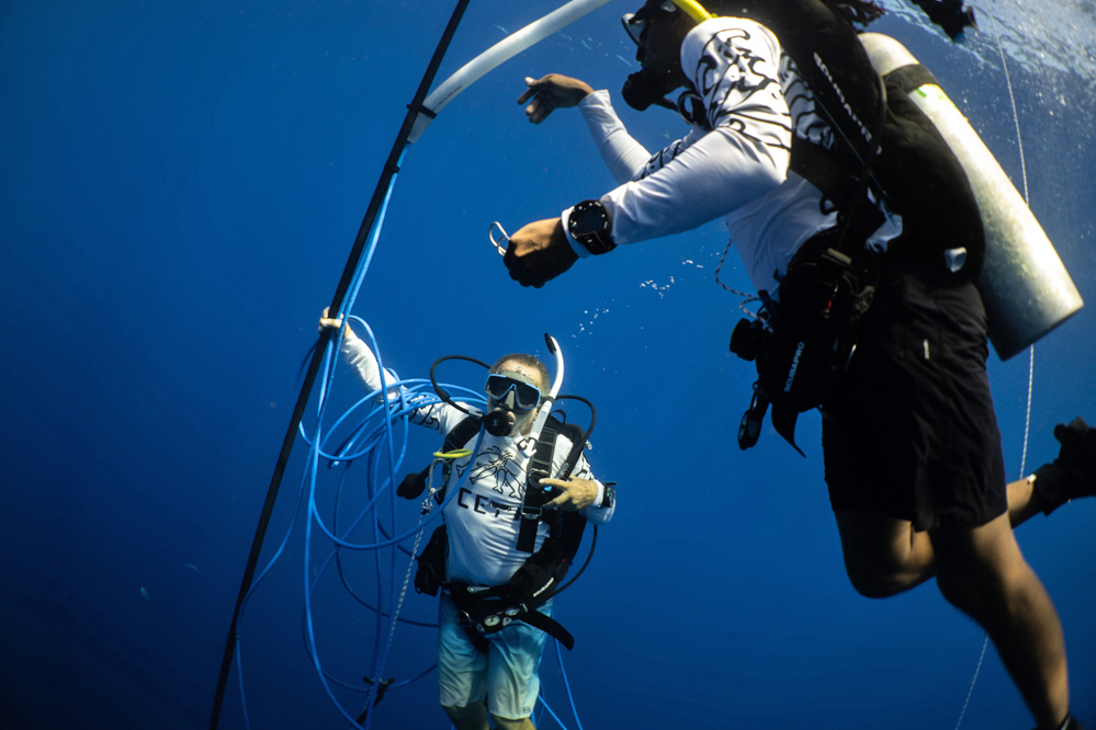 Yaniv Aluma and Odel Harve dive with a whale recording unit for Project CETI. Credit: Project CETI
