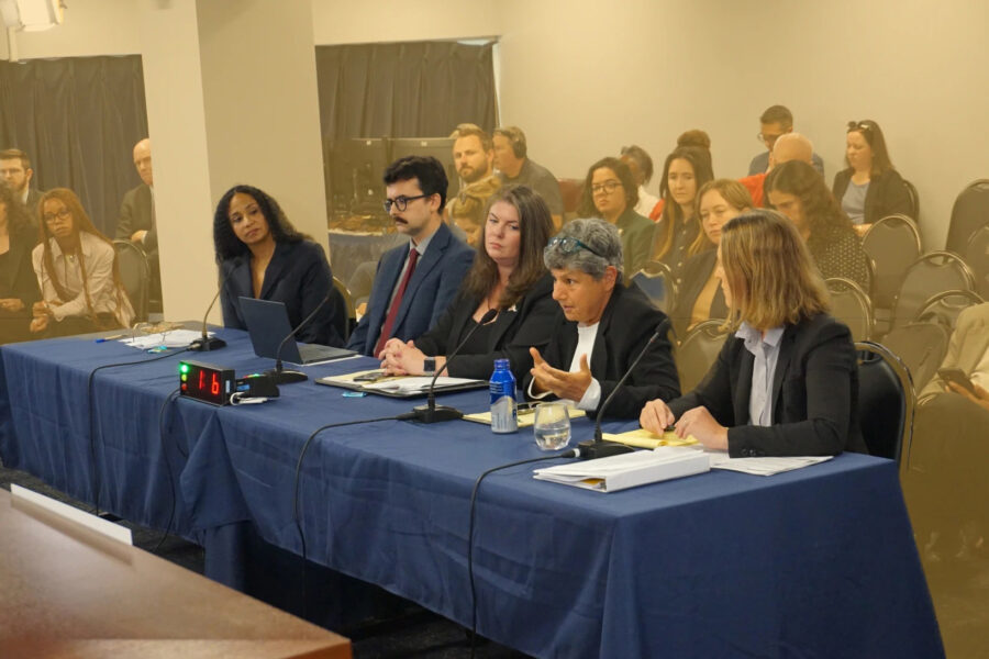 Irene Weiser, of Fossil Free Tompkins, and other advocates at a state Senate hearing about rising energy bills on September 30. Credit: Colin Kinniburgh (photo)/New York Focus (illustration)