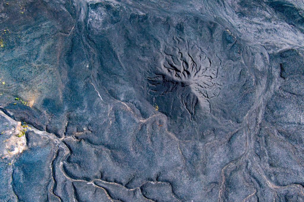 In a ‘Disheartening’ Era, the Nation’s Former Top…