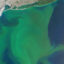 A phytoplankton bloom off the East Coast of the United States shows how the chlorophyll produced by photosynthesis tints the ocean green. A new study finds that concentrations of plankton are declining in many ocean regions. Credit: NASA Earth Observatory