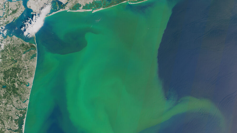 A phytoplankton bloom off the East Coast of the United States shows how the chlorophyll produced by photosynthesis tints the ocean green. A new study finds that concentrations of plankton are declining in many ocean regions. Credit: NASA Earth Observatory